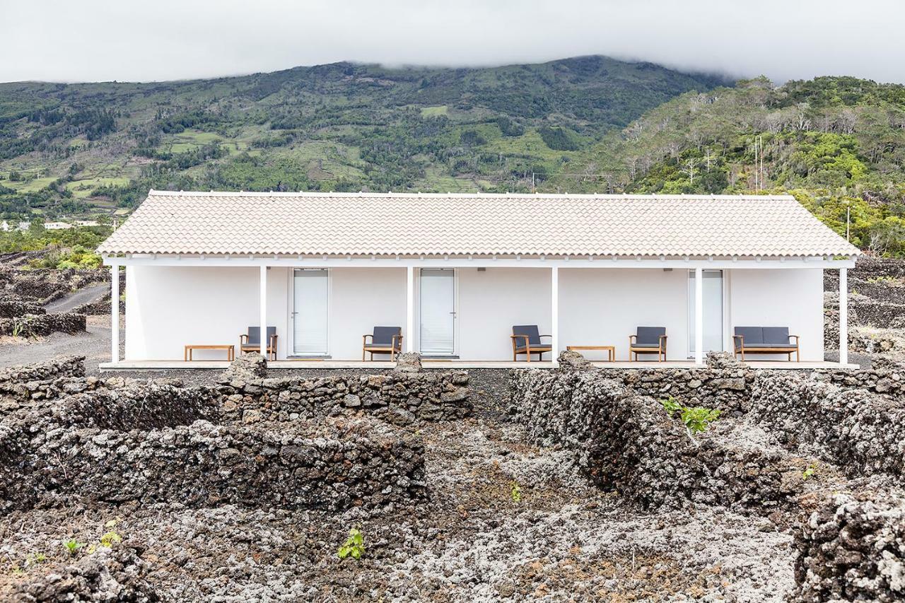Insula Vinus Apartments Madalena  Exterior photo